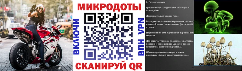 Галлюциногенные грибы мухоморы  Юрьевец 